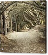 Tunnel To The Dunes Acrylic Print
