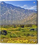 Turbine Wind Farm San Gorgonio Pass Palm Springs Ca Acrylic Print