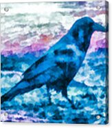 Turquoise Crow Acrylic Print