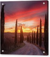 Tuscany Sunset Acrylic Print