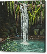 Twin Falls Acrylic Print