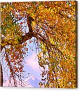 Twin Peaks - Longs Peak And Mt  Meeker Colorful Autumn View Acrylic Print