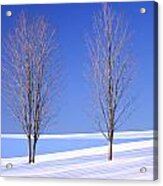 Two Lone Barren Trees In The Winter Acrylic Print