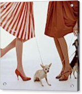 Two Models With Dogs Acrylic Print