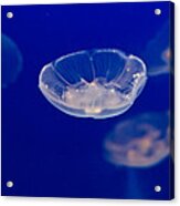 Ufo-moon Jellyfishes Acrylic Print