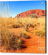 Central Australia #3 Acrylic Print