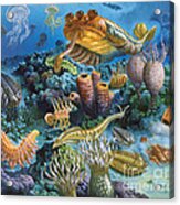 Underwater Paleozoic Landscape Acrylic Print