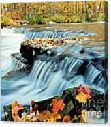 Upper Chittenango Falls Acrylic Print