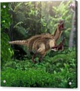 Utahraptor Dinosaur Acrylic Print