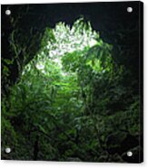 View Of Jungle From A Limestone Cave Acrylic Print