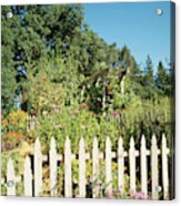 View Of Picket Fence Garden Acrylic Print