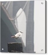 View On Brooklyn Bridge Acrylic Print