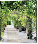 Vine Covered Columns And  Garden Path Acrylic Print