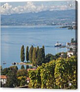 Vines Over Lake Geneva Acrylic Print