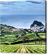 Vineyards By The Sea Acrylic Print