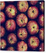 Vintage Apples Acrylic Print