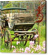 Vintage Horse Carriage In A Flower Bed Acrylic Print