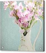 Vintage Sweet Peas In A Pitcher Acrylic Print