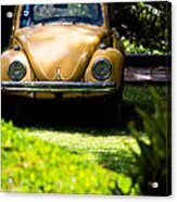 Volkswagen Beetle Acrylic Print