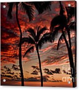Waikiki Sunset Acrylic Print