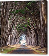Wait For Me At The End Of Tunnel Acrylic Print