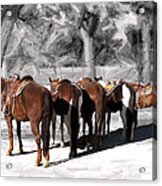 Waiting To Hit The Trail Acrylic Print