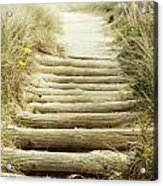 Walkway To Beach Acrylic Print