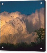 Warm Dusk Acrylic Print