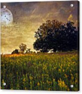 Warmth Of The Harvest Moon Acrylic Print