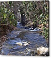 Water Flow To Poinsett Acrylic Print