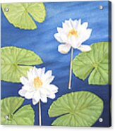 Water Lilies Acrylic Print
