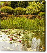 Water Lilies In The Garden Acrylic Print