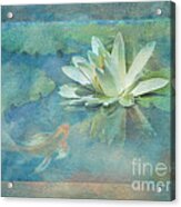 Water Lily With Friend Acrylic Print