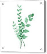 Watercolor Green Plants Acrylic Print