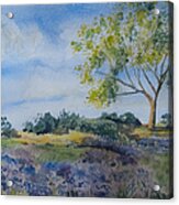 Watercolor - Tree And Meadow Acrylic Print