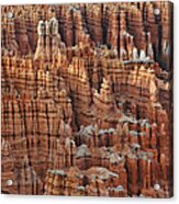 Waving Spires In Bryce Canyon National Park Acrylic Print
