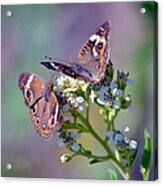 We Make A Beautiful Pair Acrylic Print