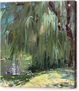 Weeping Willow Tree Acrylic Print