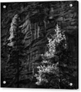 West Fork Rock Face Number Three Black And White Acrylic Print