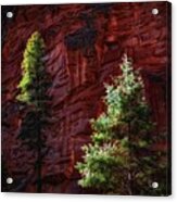 West Fork Rock Face Number Three Acrylic Print