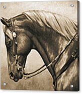 Western Horse Painting In Sepia Acrylic Print