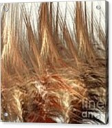 Wheatfull Acrylic Print