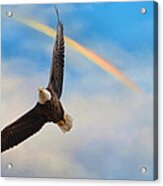 When My Wings Touch The Rainbow Acrylic Print
