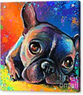 Whimsical Colorful French Bulldog Acrylic Print