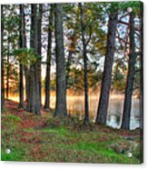 Whispering Pines Acrylic Print