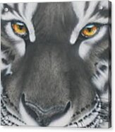 White And Black Tiger Acrylic Print
