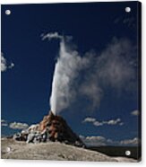 White Dome Geyser In Yellowstone National Park Acrylic Print