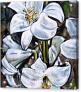 White Lillies 240210 Acrylic Print