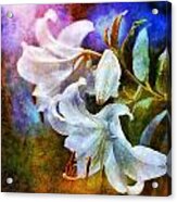 White Lily - Colorful Edition Acrylic Print