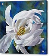 White Magnolia With Blues Acrylic Print